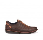 ALFA F0703 Brown Shoe